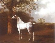 Agasse, Jacques-Laurent White Horse in Pasture Germany oil painting artist
